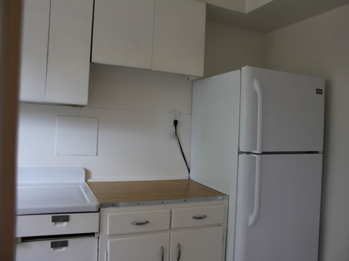 A one-bedroom apartment at The Elysian Fourplexes, 1116 Third St., #101, Moscow Id 83843