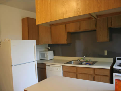 A two-bedroom apartment at The Elysian Fourplexes, 1215 E. Third St., apt. 201, Moscow Id 83843