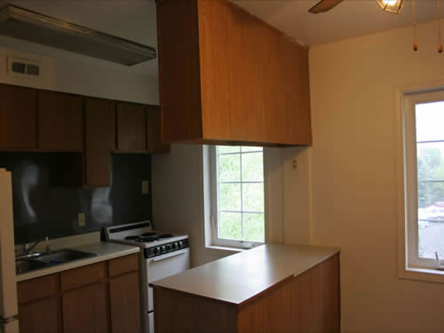 A two-bedroom apartment at The Elysian Fourplexes, 1215 E. Third St., apt. 201, Moscow Id 83843