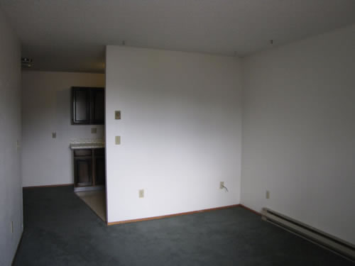 A one-bedroom at The Elysian Annex Apartments, 1210 East Fifth Street in Moscow, Id