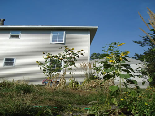 Pictures of The Elysian Garden Plots at  The Elysian Fourplexes  in Moscow, Id