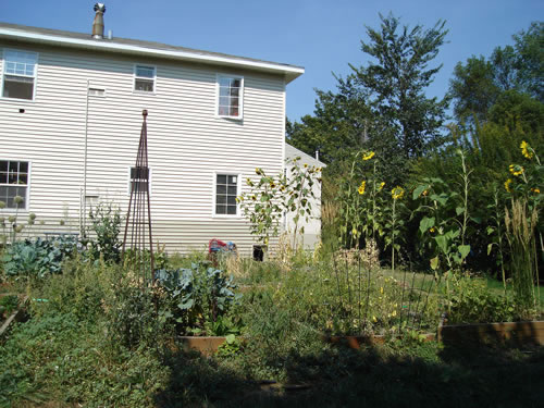 Pictures of The Elysian Garden Plots at  The Elysian Fourplexes  in Moscow, Id