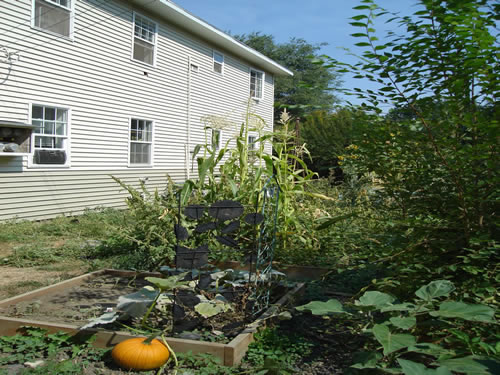 Pictures of The Elysian Garden Plots at  The Elysian Fourplexes  in Moscow, Id