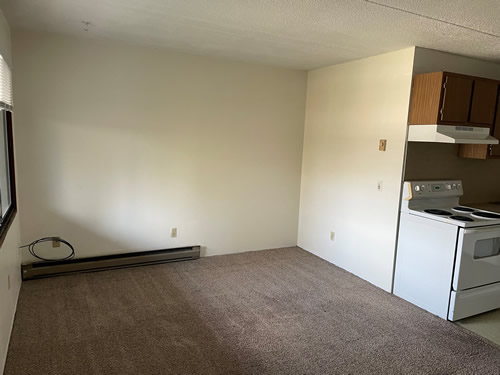 A one-bedroom at The Laurel Apartments, 1585 Turner Dr., #24