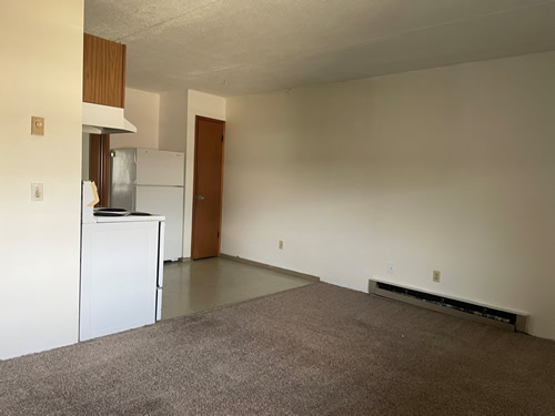 A one-bedroom at The Laurel Apartments, 1585 Turner Dr., #24