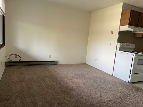 A one-bedroom at The Laurel Apartments, 1585 Turner Dr., #24
