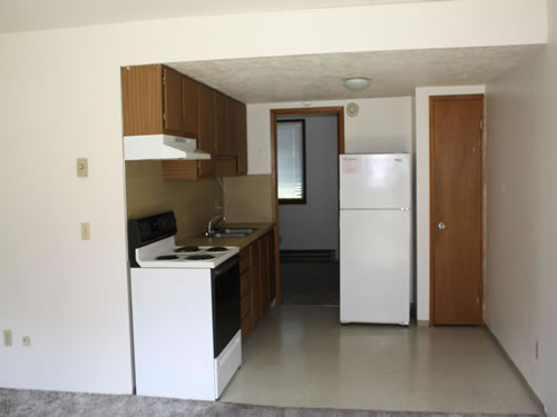 One-bedroom at The Laurel Apartments, 1585 Turner Drive, apt. 3, Pullman Wa 99163