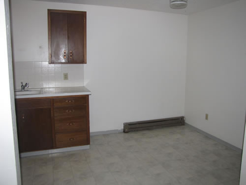 A one-bedroom at The Aegis Apartments, 1610 Wheatland Dr., #14, Pullman WA 99163