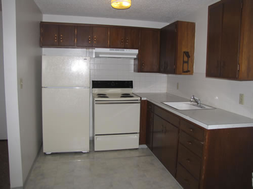 A one-bedroom at The Aegis Apartments, 1610 Wheatland Dr., #14, Pullman WA 99163