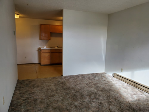 Livingroom and  kitchen