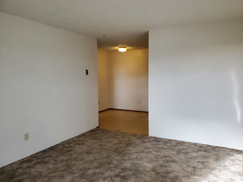 Livingroom and kitchen