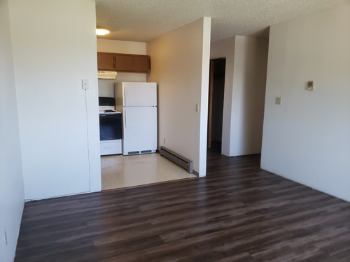 Livingroom and Kitchen