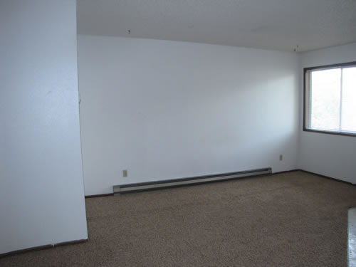 A one-bedroom at The Valley View Apartments, 1425 Valley Rd. NE, apt. 20, Pullman Wa 99163