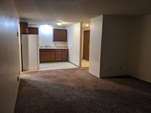 livingroom and kitchen