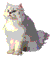Image of a cat signaling pet-friendliness
