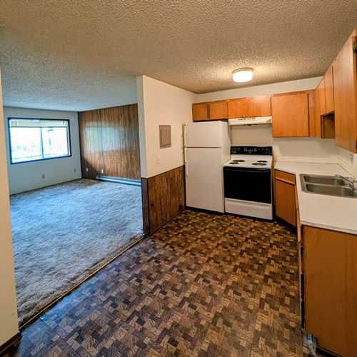 kitchen and living room