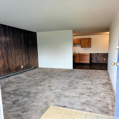 kitchen and living room