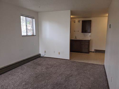 A one-bedroom at The Aegis Apartments, 1610 Wheatland Dr., #16, Pullman WA 99163