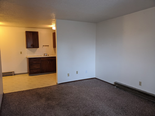 living room and kitchen