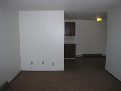 A one-bedroom at The Aegis Apartments, 1610 Wheatland Dr., #18, Pullman WA 99163