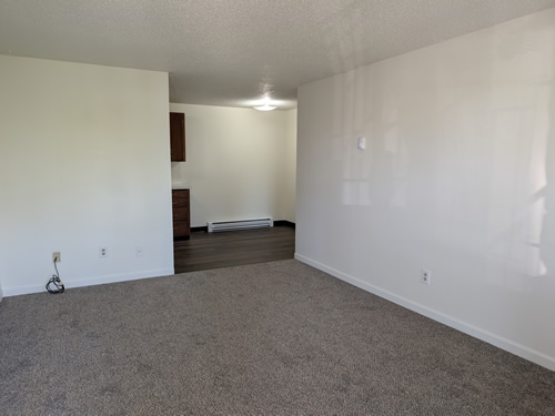 living room and diniing room