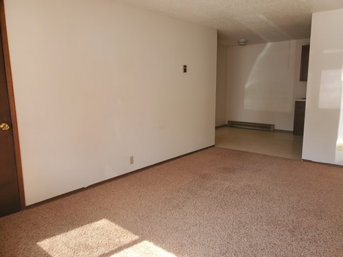 A one-bedroom at The Aegis Apartments, 1610 Wheatland Drive, apt. 3, Pullman, Wa 99163