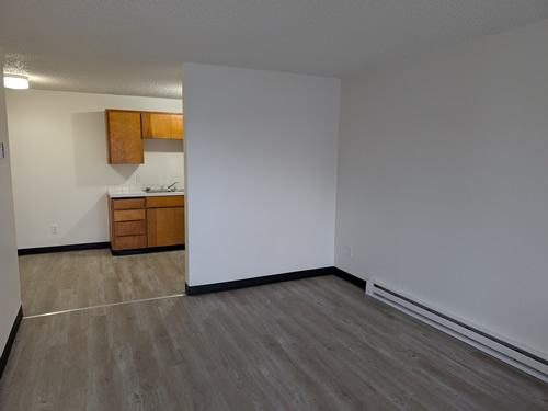 living room and kitchen