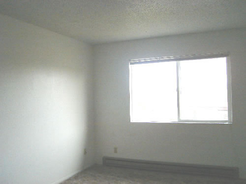 Picture of apartment 13, a one-bedroom at The Cougar Apartments, in Pullman, Wa