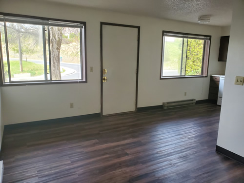 livingroom and dining room