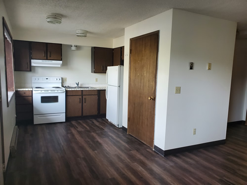 livingroom and kitchen