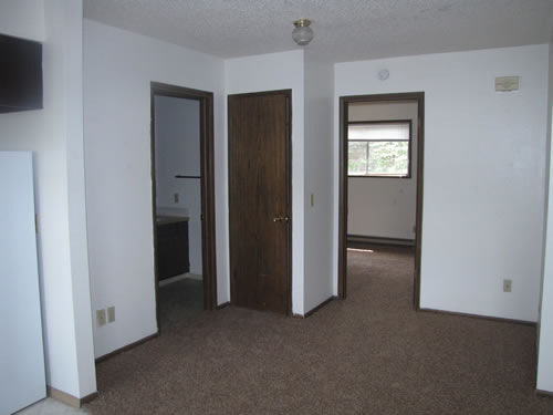 A one-bedroom at The Valley View Apartments, 1425 Valley Rd. NE, apt. 20, Pullman Wa 99163