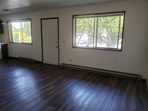 Livingroom and dining room