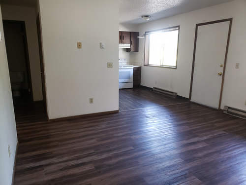 Livingroom and  kitchen