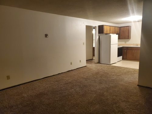 livingroom and  kitchen